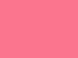Neon Pink Color Chip